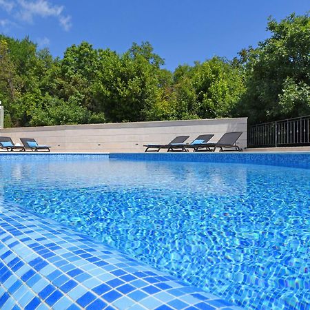 Yourcroatiaholiday - Villa With 6 Rooms Drenje  外观 照片